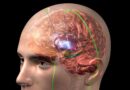 La estimulación cerebral profunda ofrece esperanza a pacientes con Parkinson