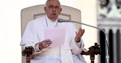 Papa Francisco: La vida humana se debe proteger desde la concepción hasta la muerte natural