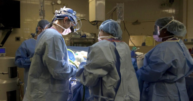 Fallece el paciente que recibió el primer trasplante riñón de cerdo