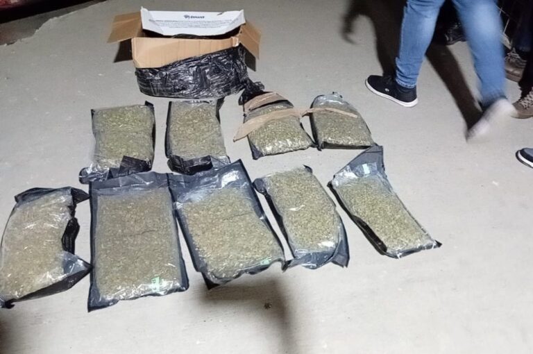 Ocupan 12 paquetes de marihuana durante operativos en el AILA, Imposdom y el Muelle de Santo Domingo