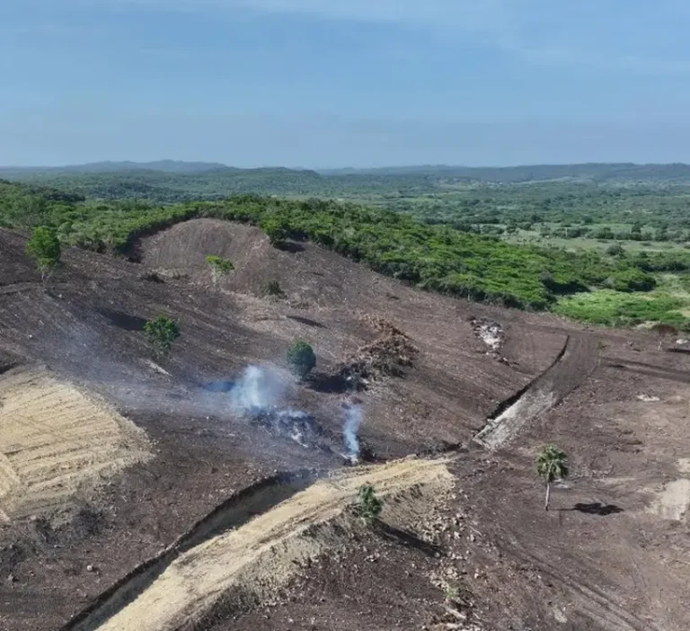 Mimarena dice sancionará a los autores de ecocidio