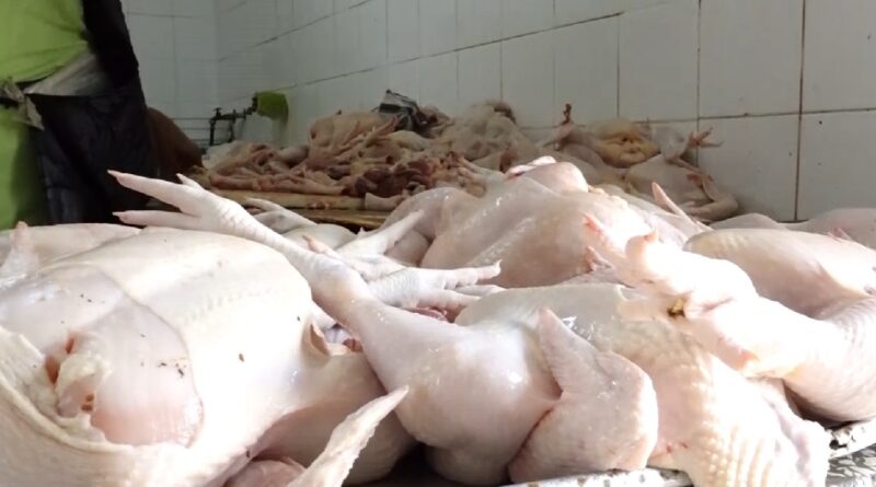 Ante escasez y alza de precio del pollo, Inespre anuncia venta de la carne a precio asequible