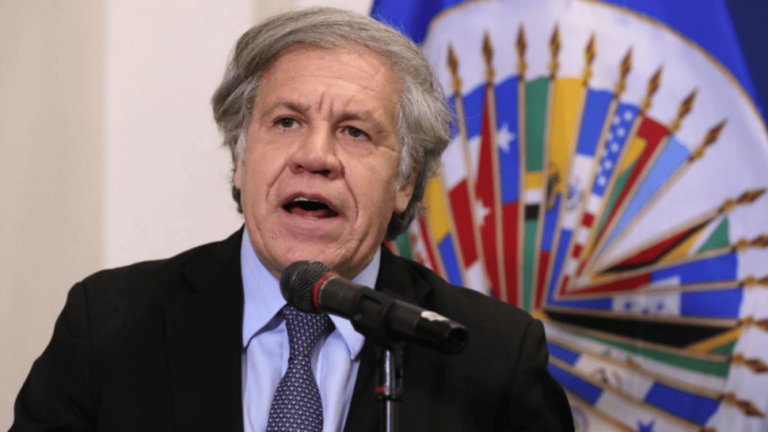 La OEA denuncia «manipulación aberrante» en comicios Venezuela