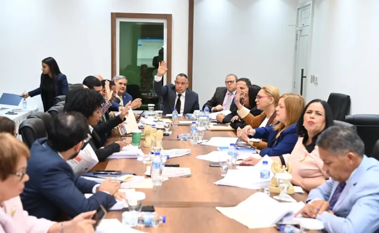 Otro plazo de 6 días le dan a la comisión de Código Penal