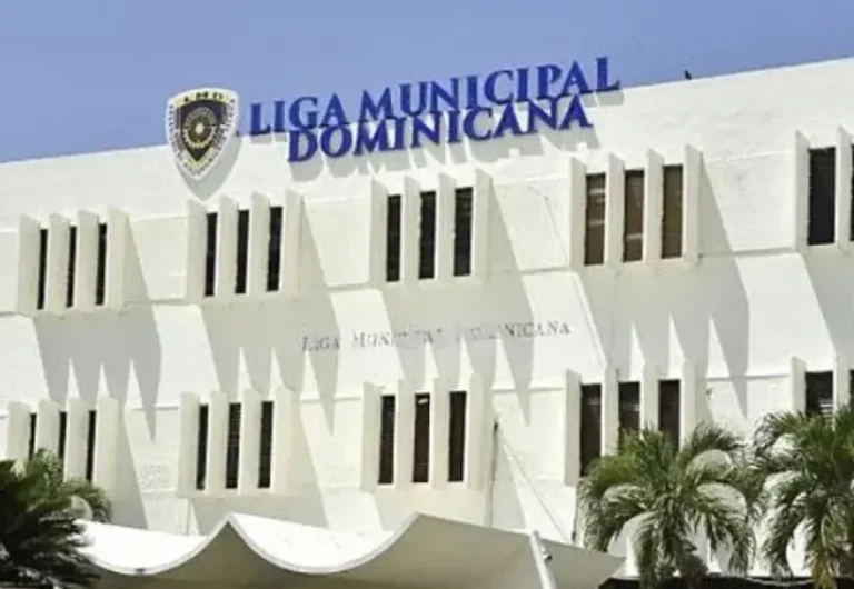 Waldys sugiere incluir la municipal y transformar LMD