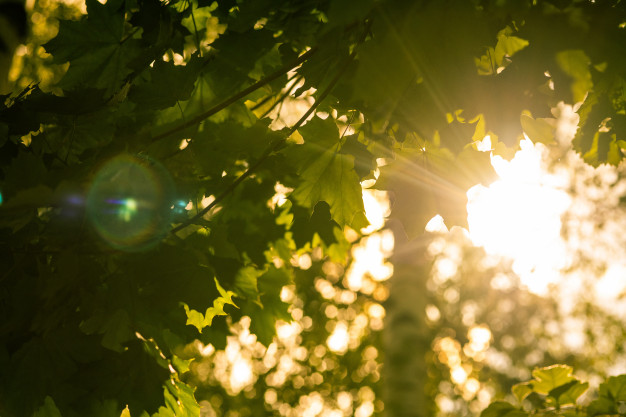 Indomet prevé buen tiempo este miércoles, con aguaceros aislados en la tarde