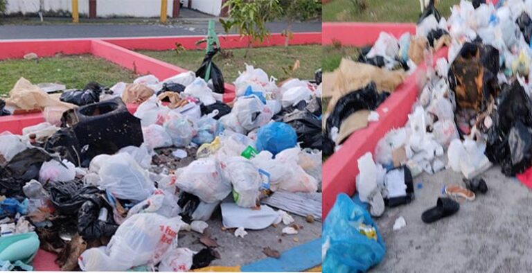 La basura pone en peligro al Bulevar del Invi de Los Mina