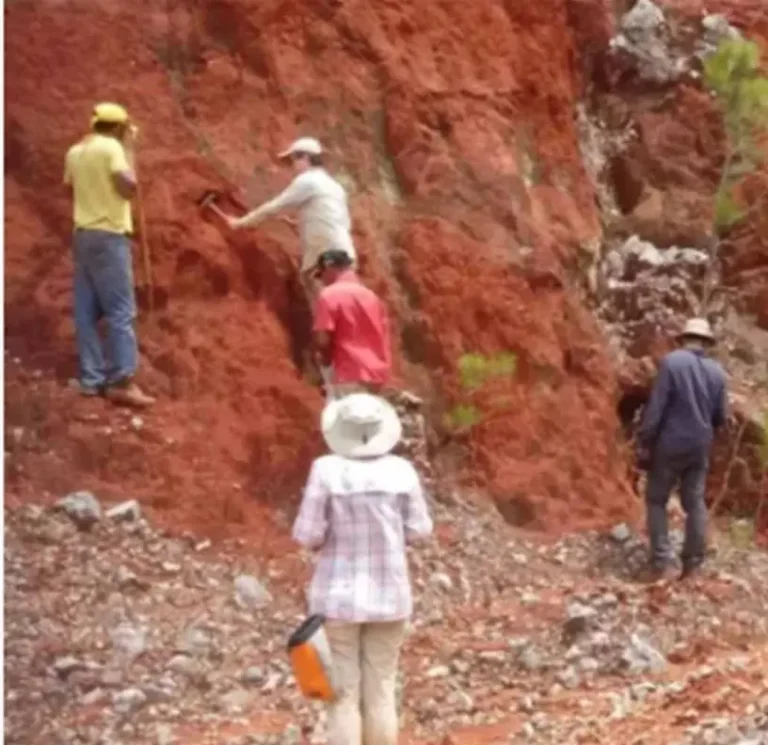 Indicios tierras raras llevan más 10 años, 400 muestras