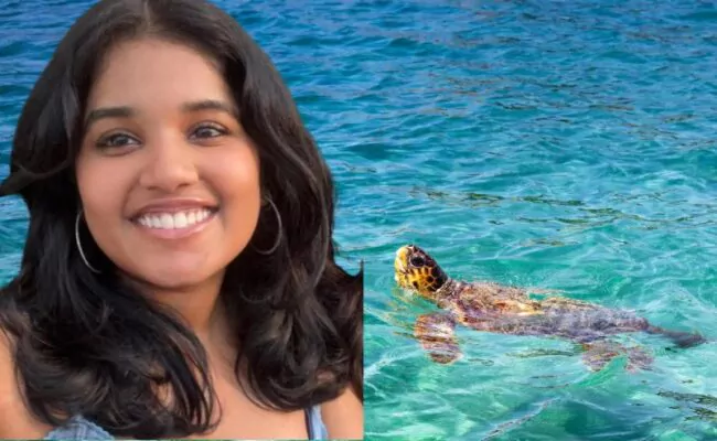Drones confunden tortuga marina con el cuerpo de Sudiksha en playa de Punta Cana