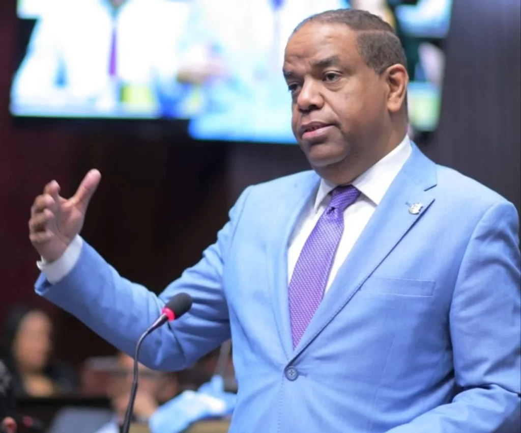 Danilo Díaz pide interpelar a Faride Raful por presencia masiva de migrantes ilegales