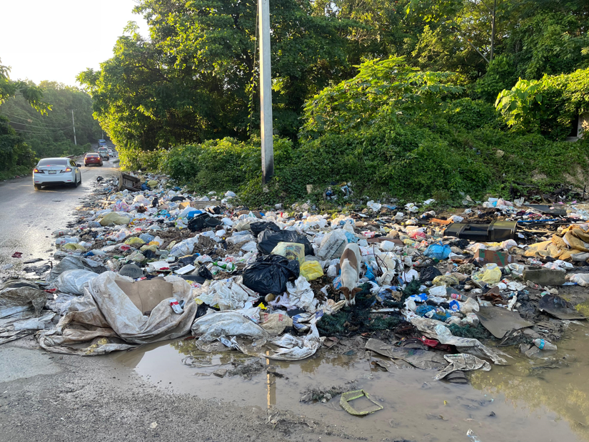 Ríos dominicanos en riesgo: Vertederos ilegales y lluvias intensifican crisis ambiental