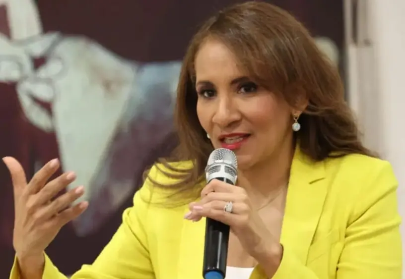 Politóloga ve poco interés del Gobierno continuar con la JEE