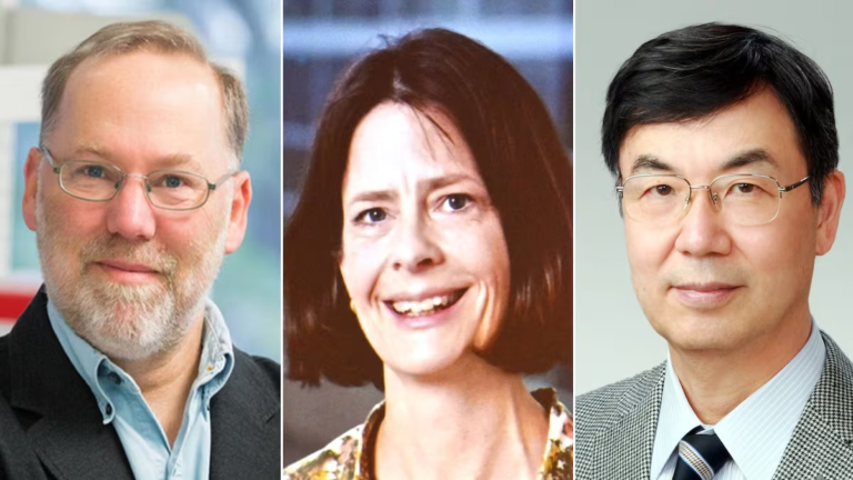 Tres científicos ganan Premio el Nobel de Medicina o Fisiología