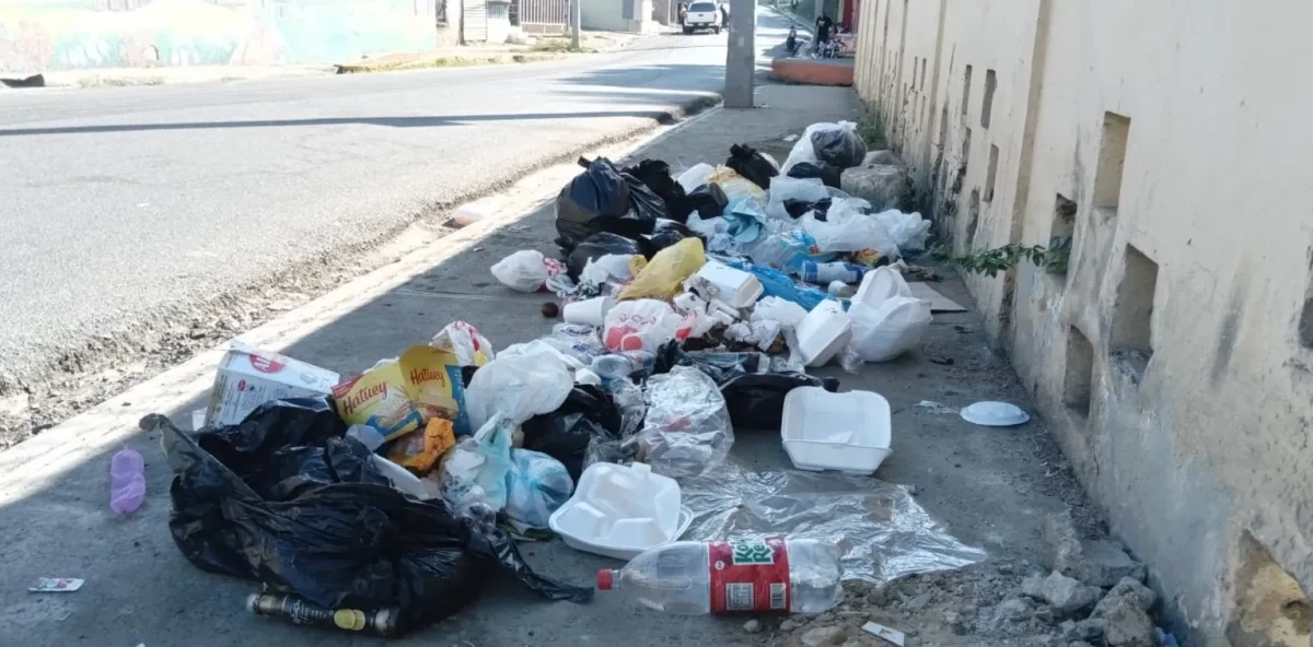 Mameyes espera que el alcalde recoja la basura