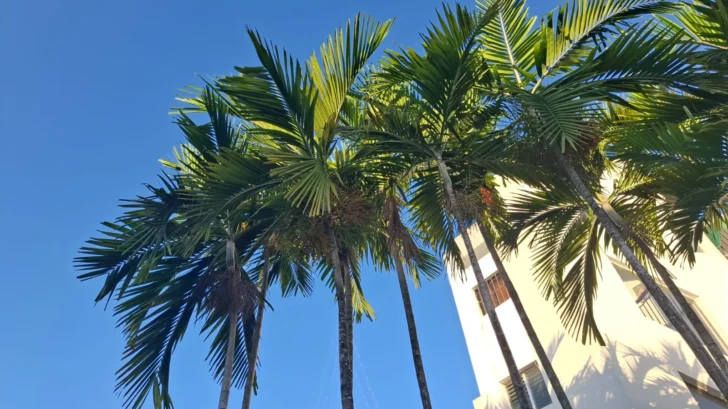 Pronóstico del clima para este miércoles 10 de diciembre