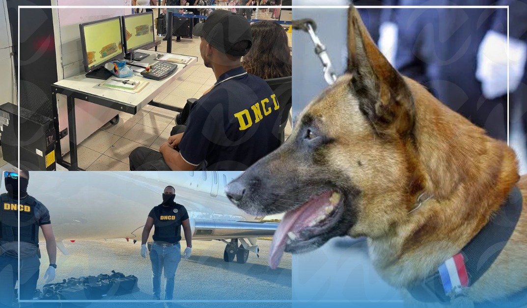 DNCD incrementa personal y unidades caninas en puertos y aeropuertos por Navidades