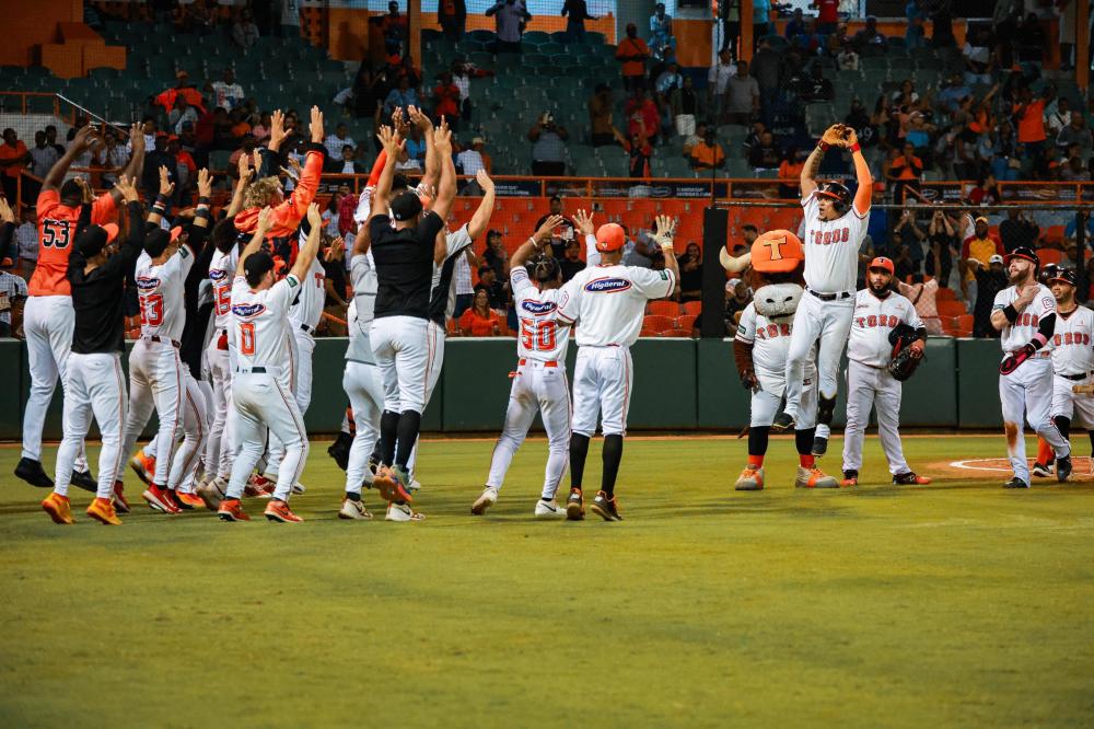 Toros derrotan a los Leones en la final del beisbol dominicano