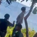 Encuentran mujer muerta colgada de un árbol en la avenida George Washington