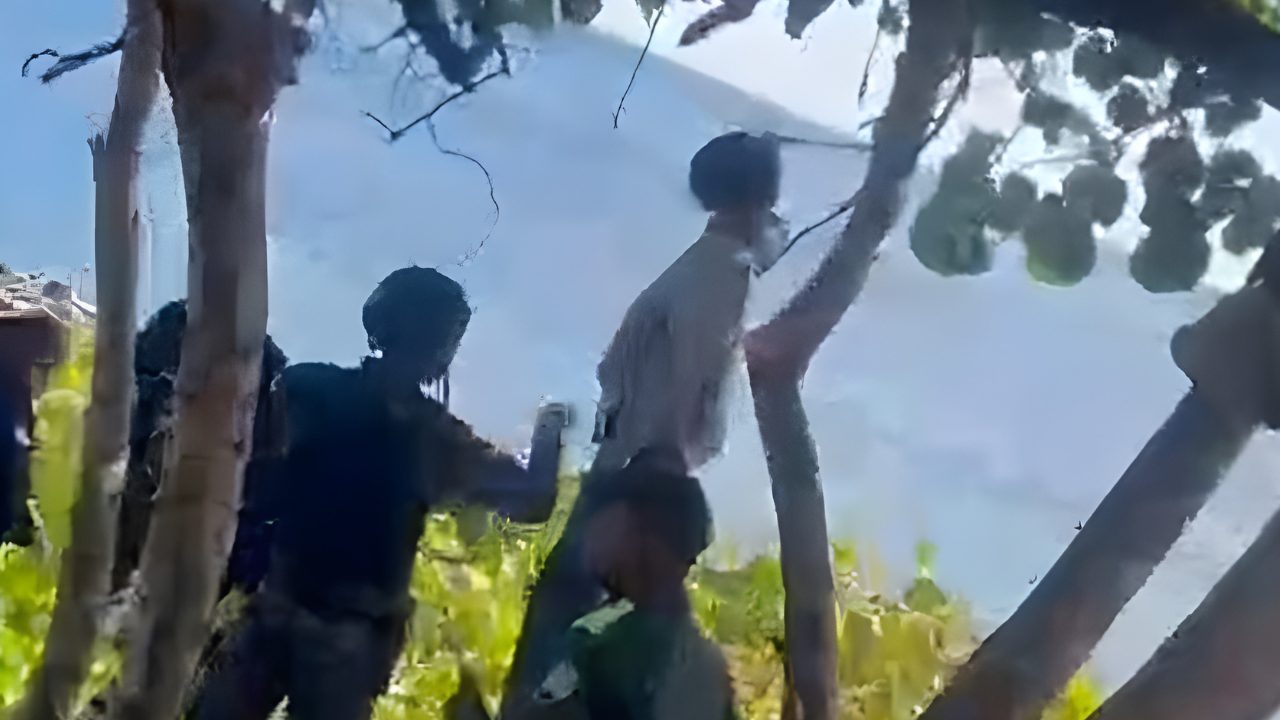 Encuentran mujer muerta colgada de un árbol en la avenida George Washington