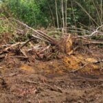Convocan este Martes Santo a encendido de velas por protección a loma de Managuá en Bayaguana