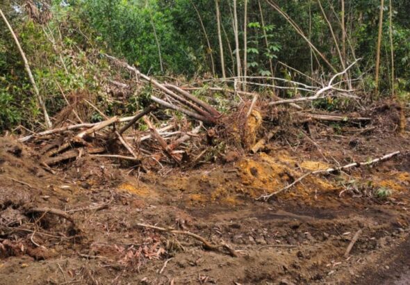Convocan este Martes Santo a encendido de velas por protección a loma de Managuá en Bayaguana