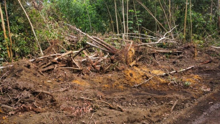Convocan este Martes Santo a encendido de velas por protección a loma de Managuá en Bayaguana
