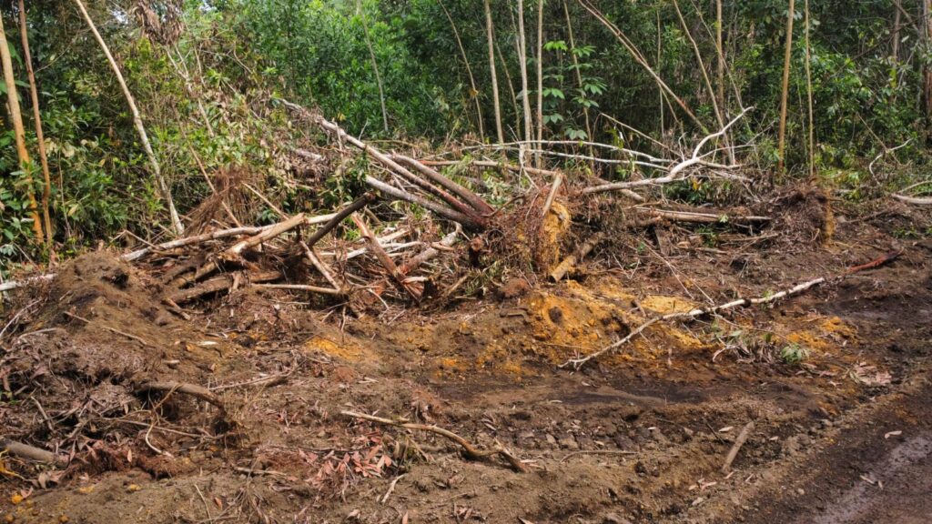 Convocan este Martes Santo a encendido de velas por protección a loma de Managuá en Bayaguana