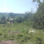 Mujer quedó al cuidado de sus nietos huérfanos pide ayuda para construir casa