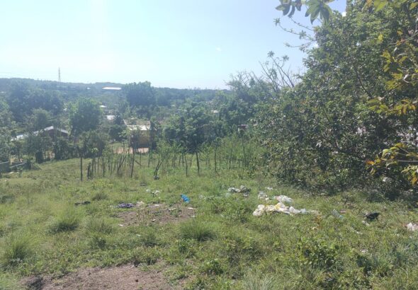 Mujer quedó al cuidado de sus nietos huérfanos pide ayuda para construir casa