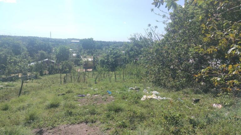 Mujer quedó al cuidado de sus nietos huérfanos pide ayuda para construir casa