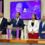 PLD se suicidaría políticamente si se alía al PRM, afirma politóloga Rosario Espinal