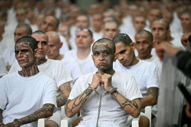 Fiscalía de El Salvador prevé condenas de miles de años para líderes de la MS-13 en juicio masivo