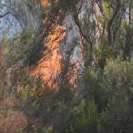 Evacuan a 174 personas por incendio de Murias, España