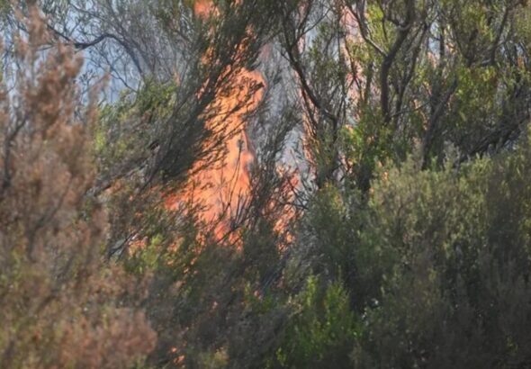Evacuan a 174 personas por incendio de Murias, España