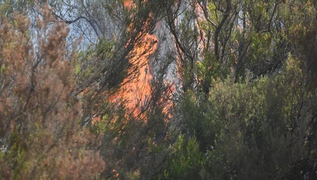 Evacuan a 174 personas por incendio de Murias, España