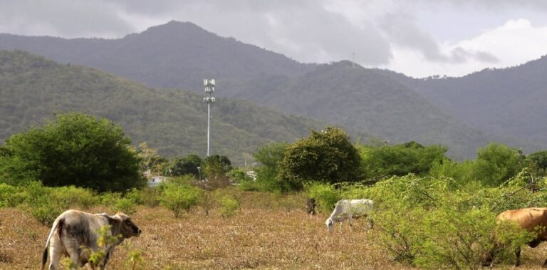 Sequía extrema golpea a Puerto Rico