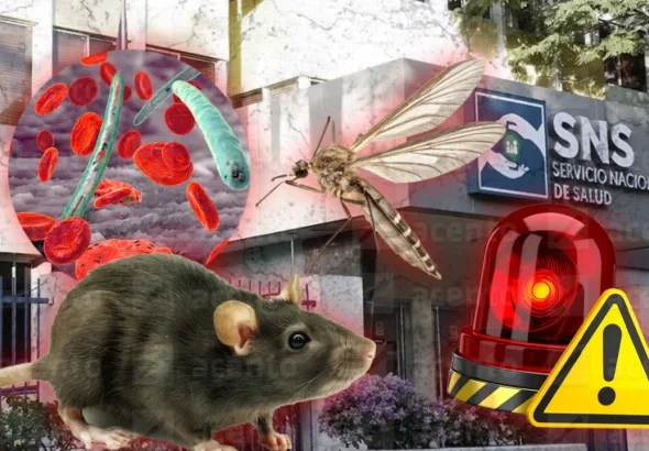 SNS activa alerta hospitalaria ante casos de leptospirosis, dengue, malaria y rabia