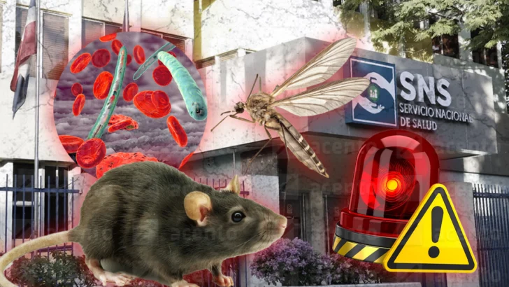SNS activa alerta hospitalaria ante casos de leptospirosis, dengue, malaria y rabia