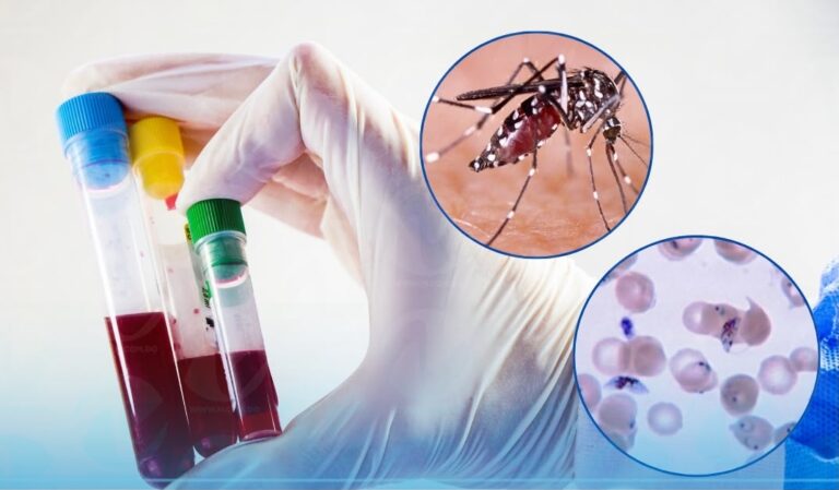 RD acumula 338 casos de dengue y 137 de malaria en lo que va del 2026