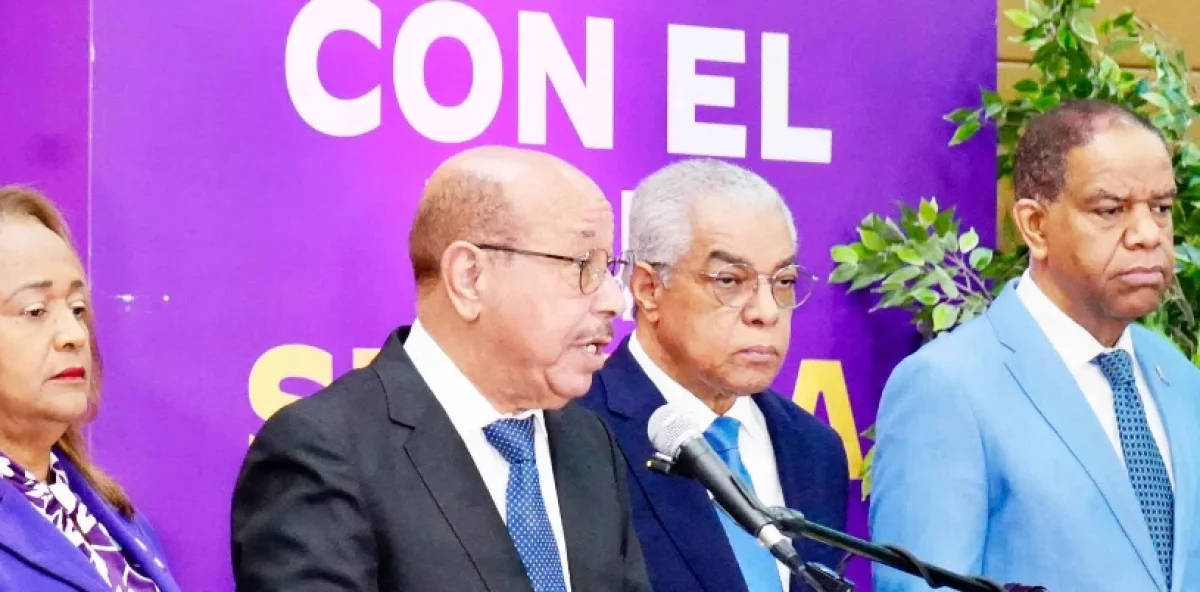 PLD llama la atención sobre ingresos país
